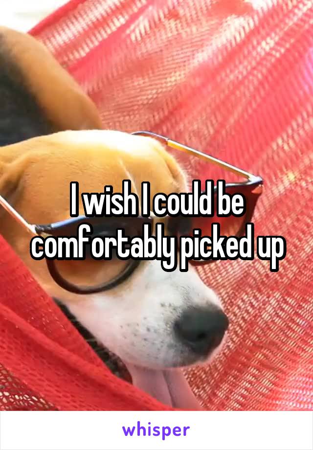 I wish I could be comfortably picked up