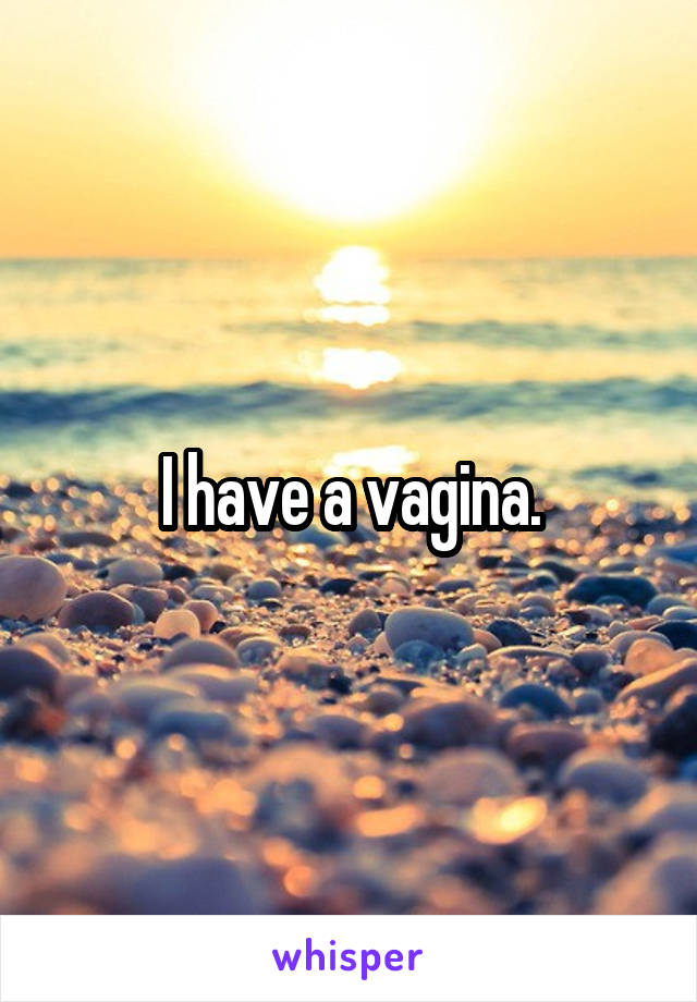 I have a vagina.