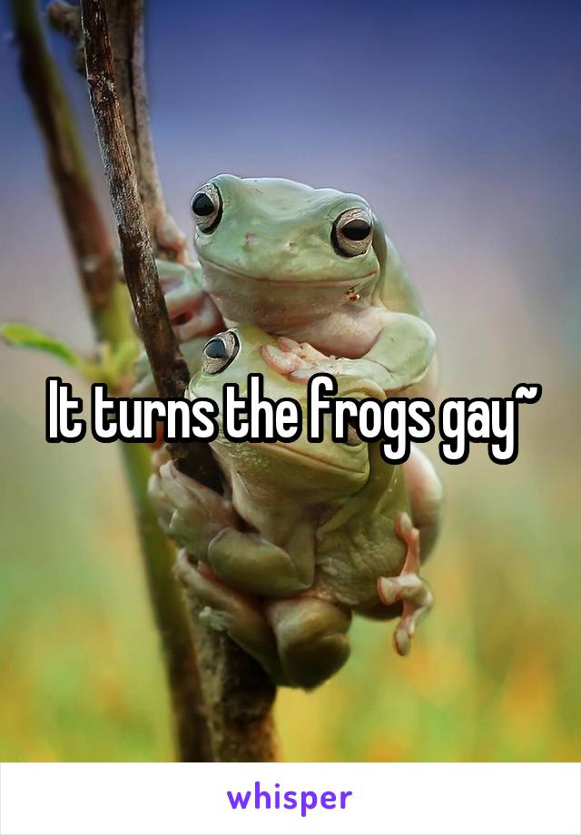 It turns the frogs gay~