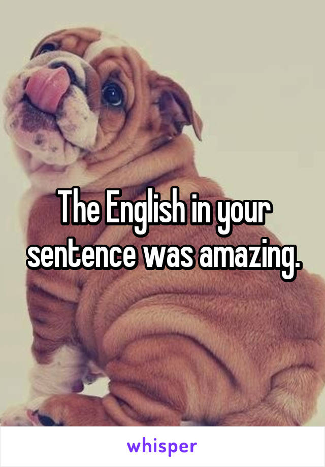 The English in your sentence was amazing.