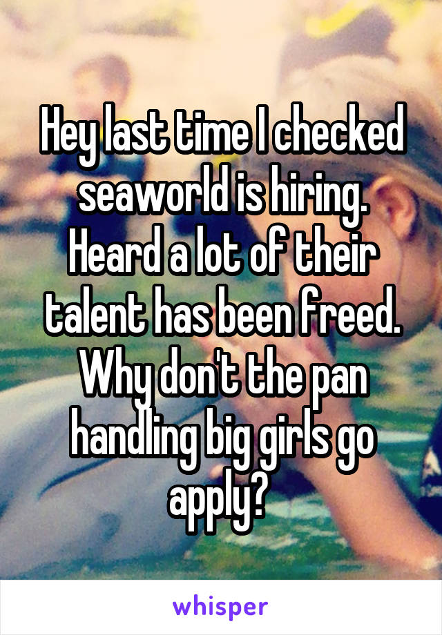 Hey last time I checked seaworld is hiring. Heard a lot of their talent has been freed. Why don't the pan handling big girls go apply? 