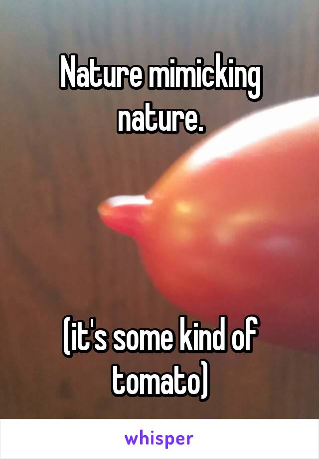 Nature mimicking nature.




(it's some kind of tomato)