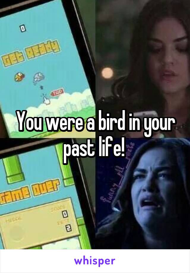 You were a bird in your past life! 