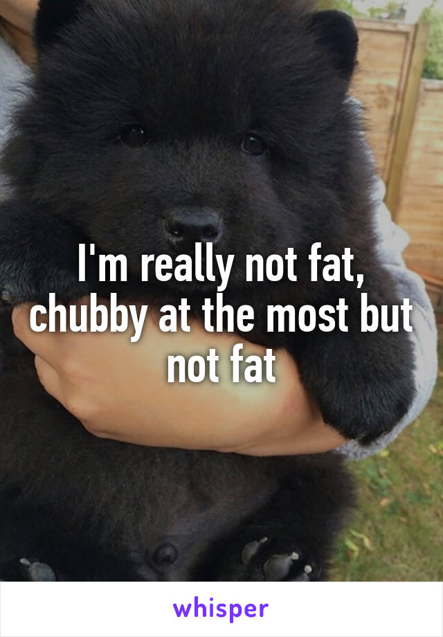 I'm really not fat, chubby at the most but not fat