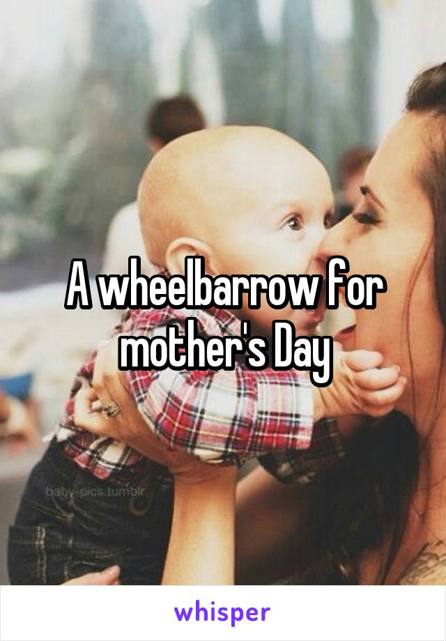 A wheelbarrow for mother's Day