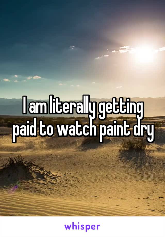 I am literally getting paid to watch paint dry