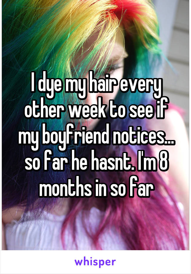 I dye my hair every other week to see if my boyfriend notices... so far he hasnt. I'm 8 months in so far