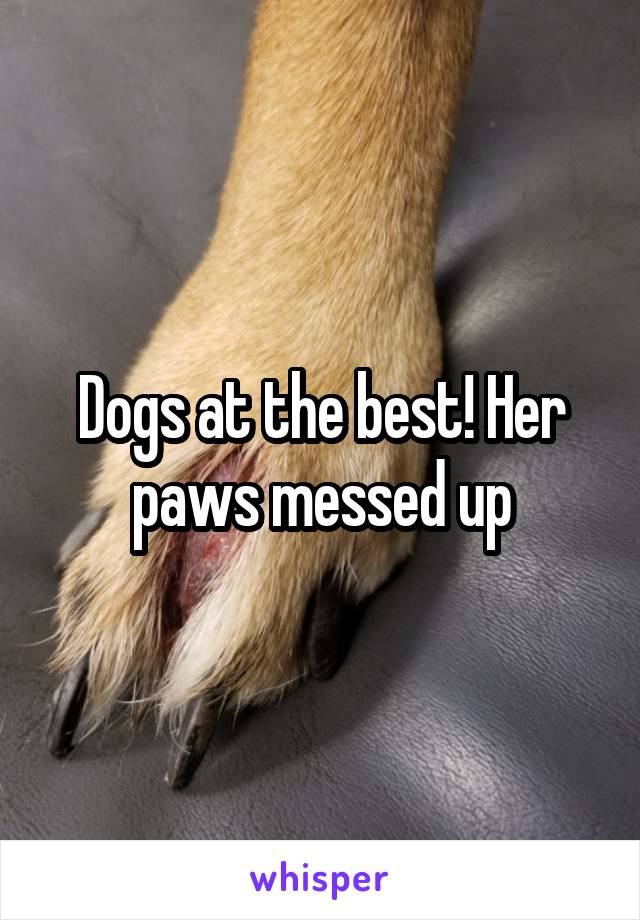 Dogs at the best! Her paws messed up