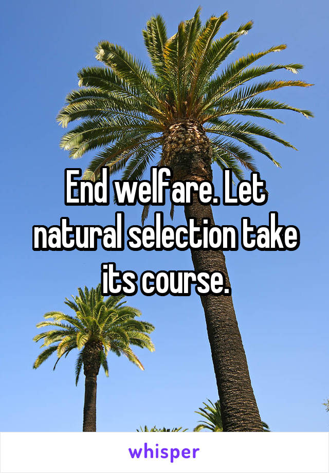 End welfare. Let natural selection take its course.