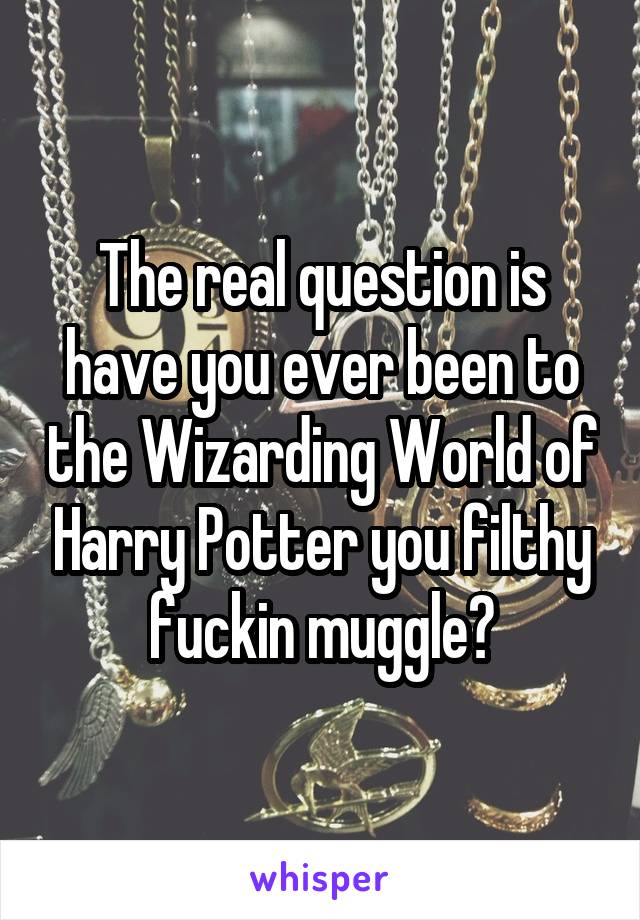 The real question is have you ever been to the Wizarding World of Harry Potter you filthy fuckin muggle?