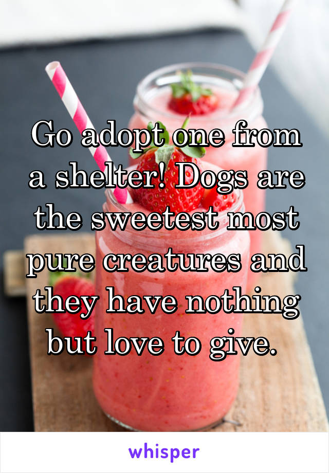 Go adopt one from a shelter! Dogs are the sweetest most pure creatures and they have nothing but love to give. 
