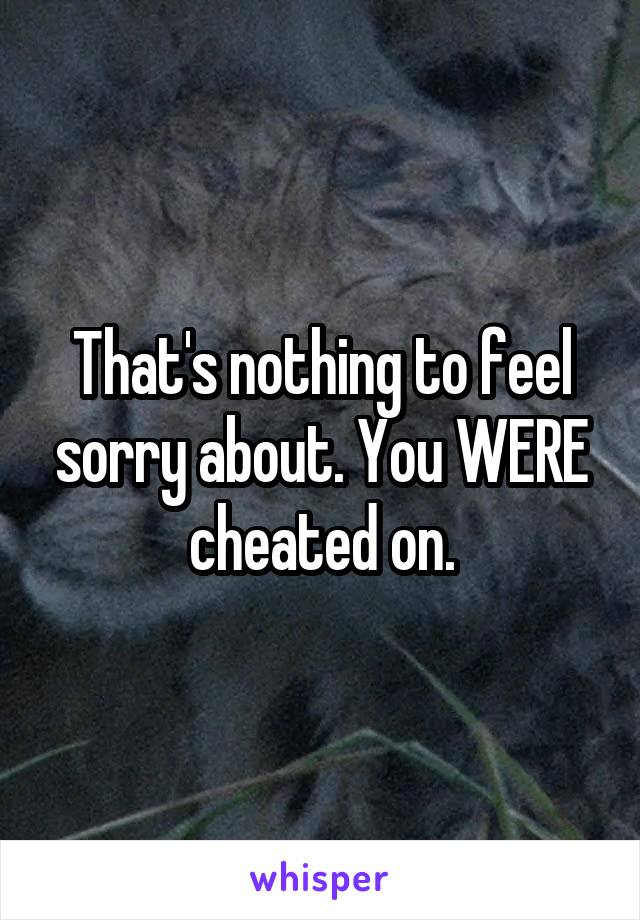 That's nothing to feel sorry about. You WERE cheated on.