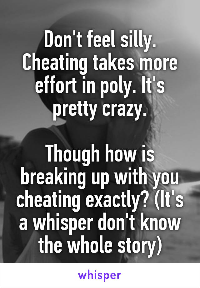 Don't feel silly. Cheating takes more effort in poly. It's pretty crazy.

Though how is breaking up with you cheating exactly? (It's a whisper don't know the whole story)