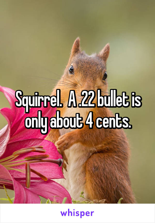 Squirrel.  A .22 bullet is only about 4 cents.