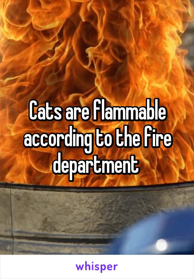 Cats are flammable according to the fire department 