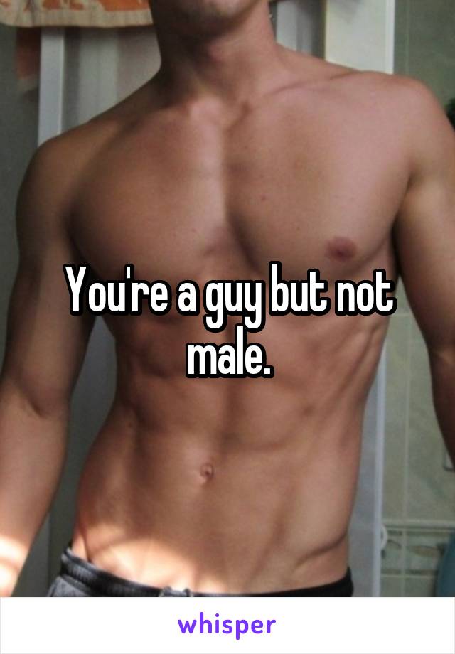 You're a guy but not male.