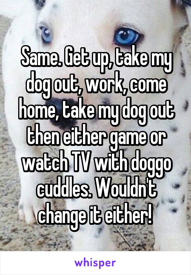 Same. Get up, take my dog out, work, come home, take my dog out then either game or watch TV with doggo cuddles. Wouldn't change it either! 