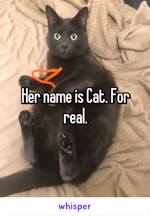 Her name is Cat. For real.