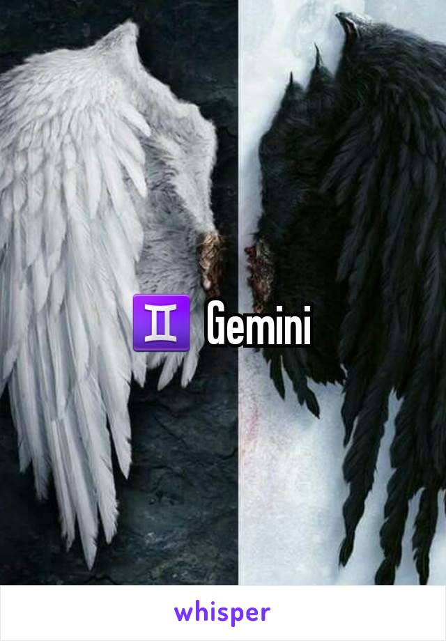 ♊ Gemini 