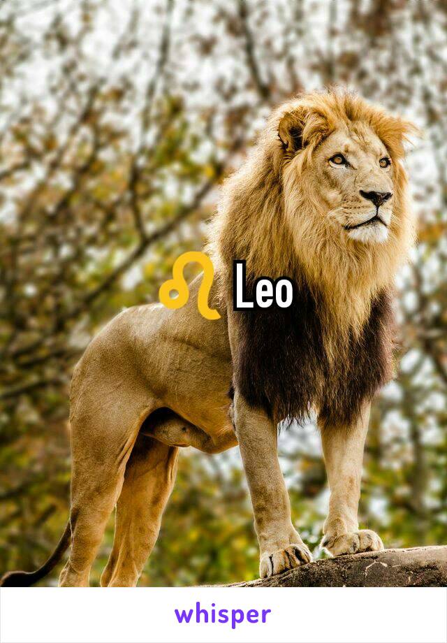 ♌ Leo