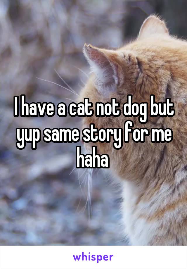 I have a cat not dog but yup same story for me haha 