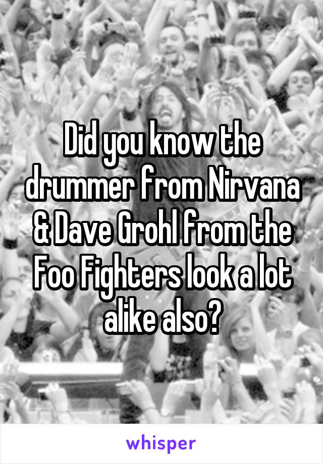 Did you know the drummer from Nirvana & Dave Grohl from the Foo Fighters look a lot alike also?