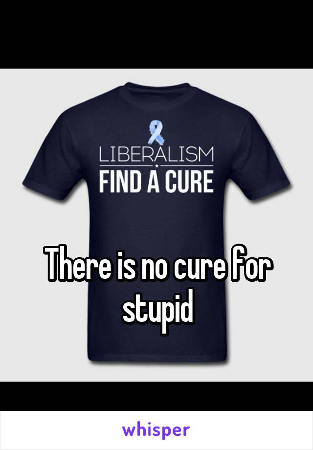 


There is no cure for stupid