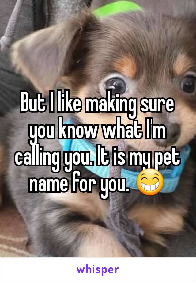 But I like making sure you know what I'm calling you. It is my pet name for you. 😁