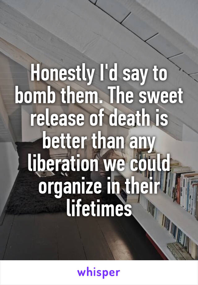 Honestly I'd say to bomb them. The sweet release of death is better than any liberation we could organize in their lifetimes