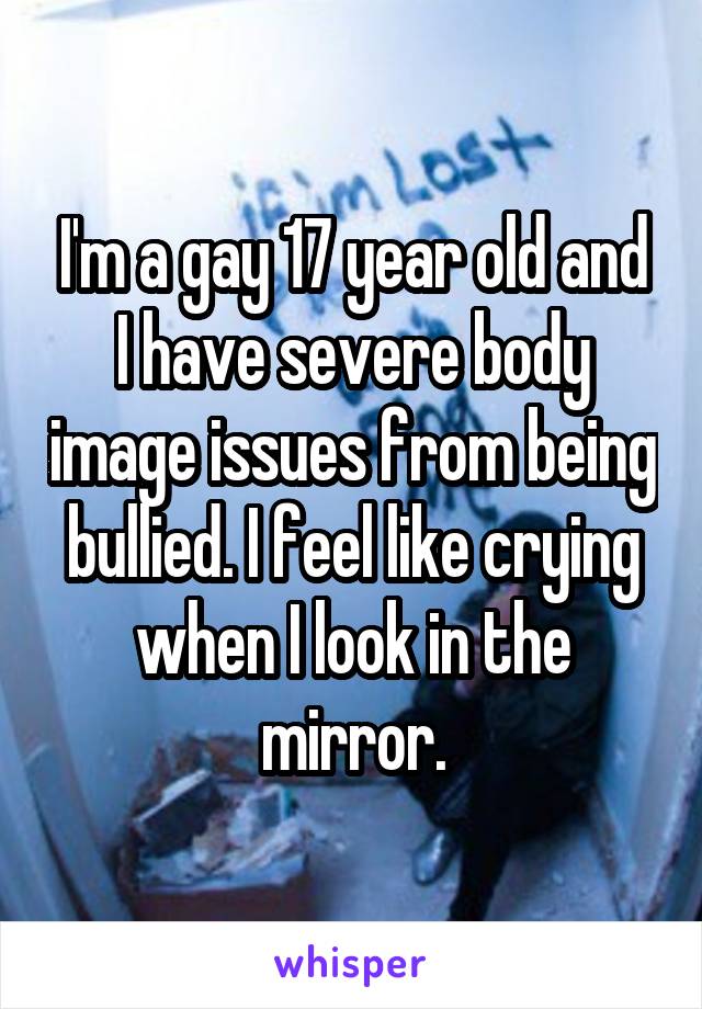 I'm a gay 17 year old and I have severe body image issues from being bullied. I feel like crying when I look in the mirror.
