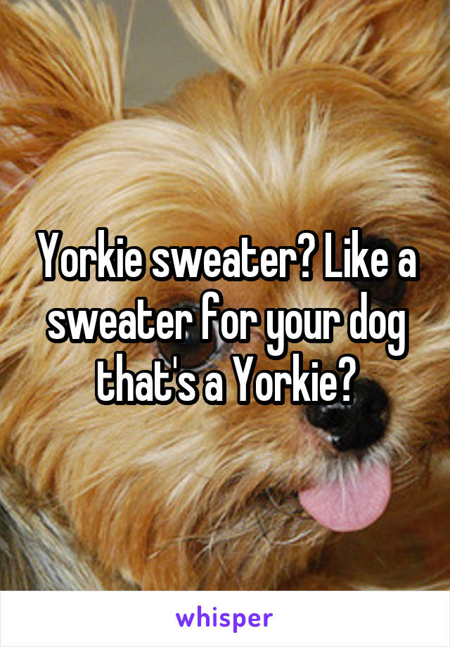 Yorkie sweater? Like a sweater for your dog that's a Yorkie?