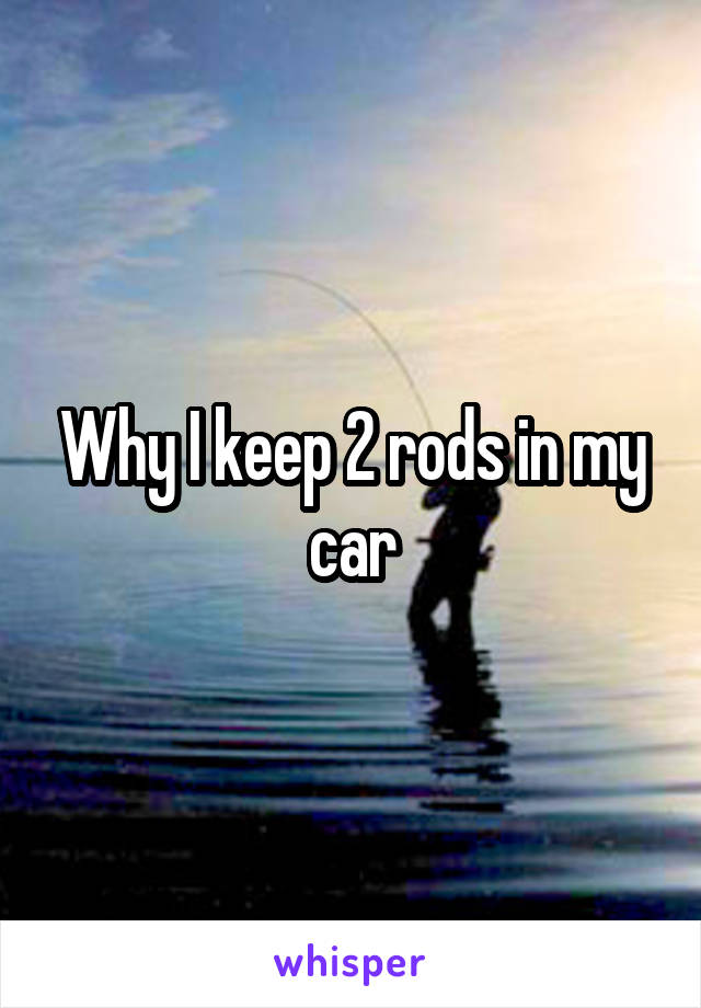 Why I keep 2 rods in my car