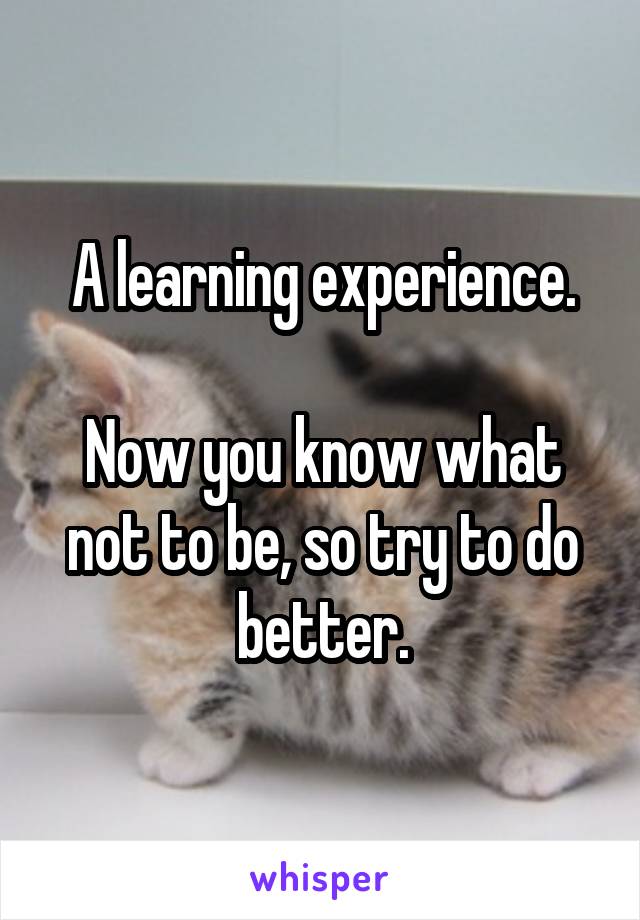 A learning experience.

Now you know what not to be, so try to do better.