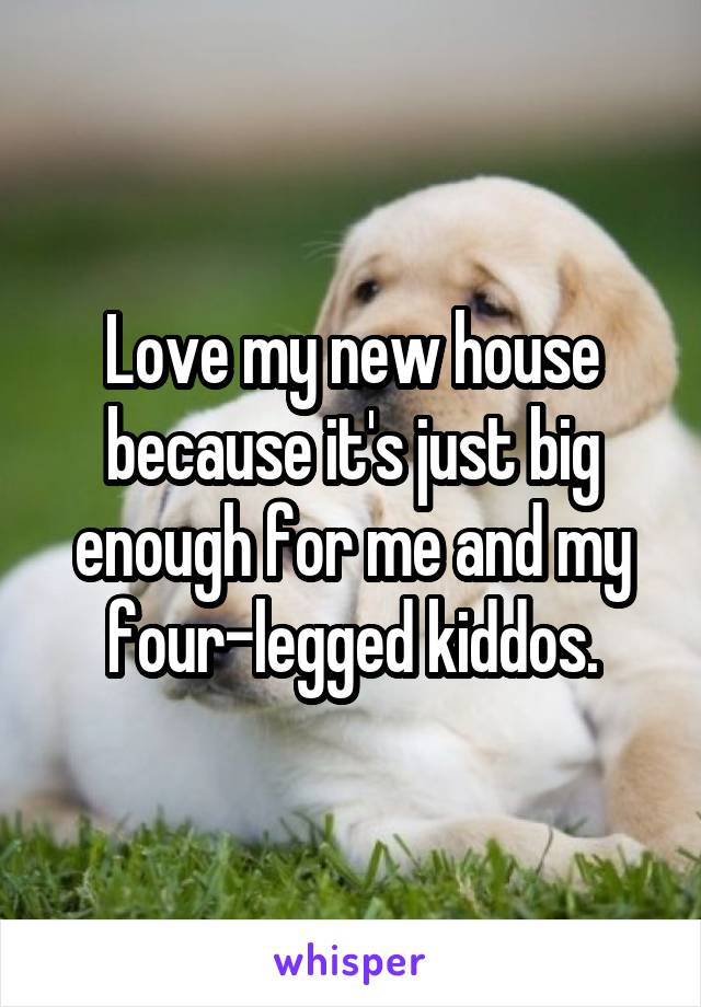 Love my new house because it's just big enough for me and my four-legged kiddos.
