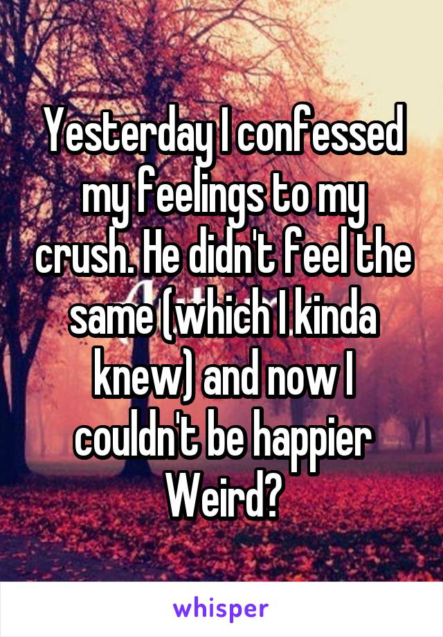 Yesterday I confessed my feelings to my crush. He didn't feel the same (which I kinda knew) and now I couldn't be happier
Weird?