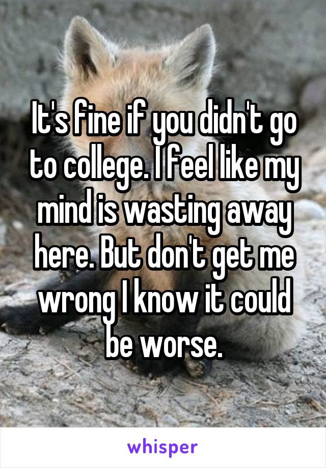 It's fine if you didn't go to college. I feel like my mind is wasting away here. But don't get me wrong I know it could be worse.