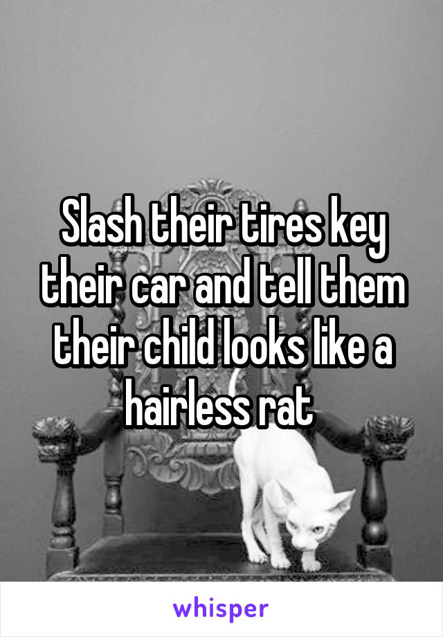 Slash their tires key their car and tell them their child looks like a hairless rat 