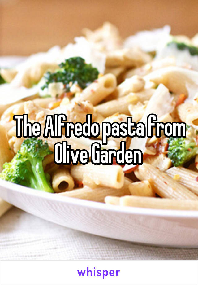 The Alfredo pasta from Olive Garden 