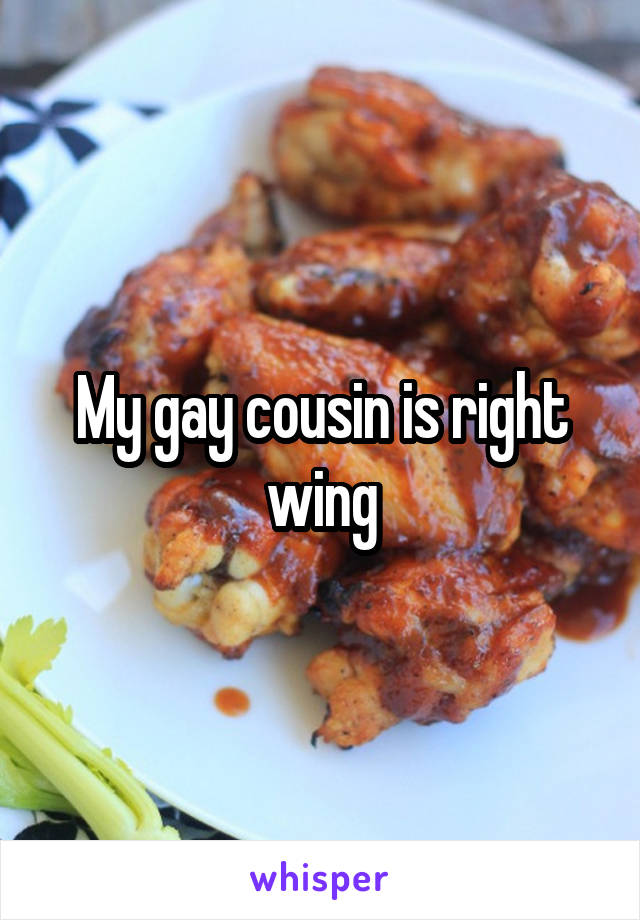 My gay cousin is right wing
