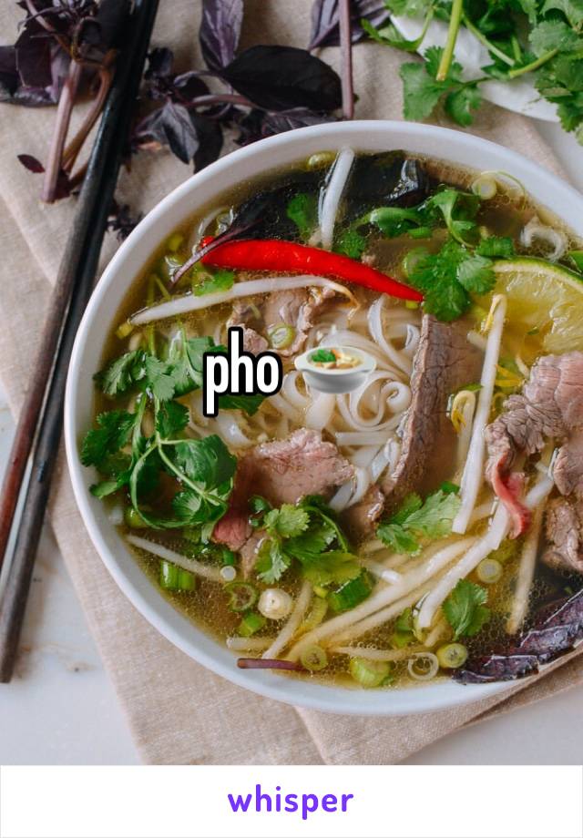 pho 🍲 