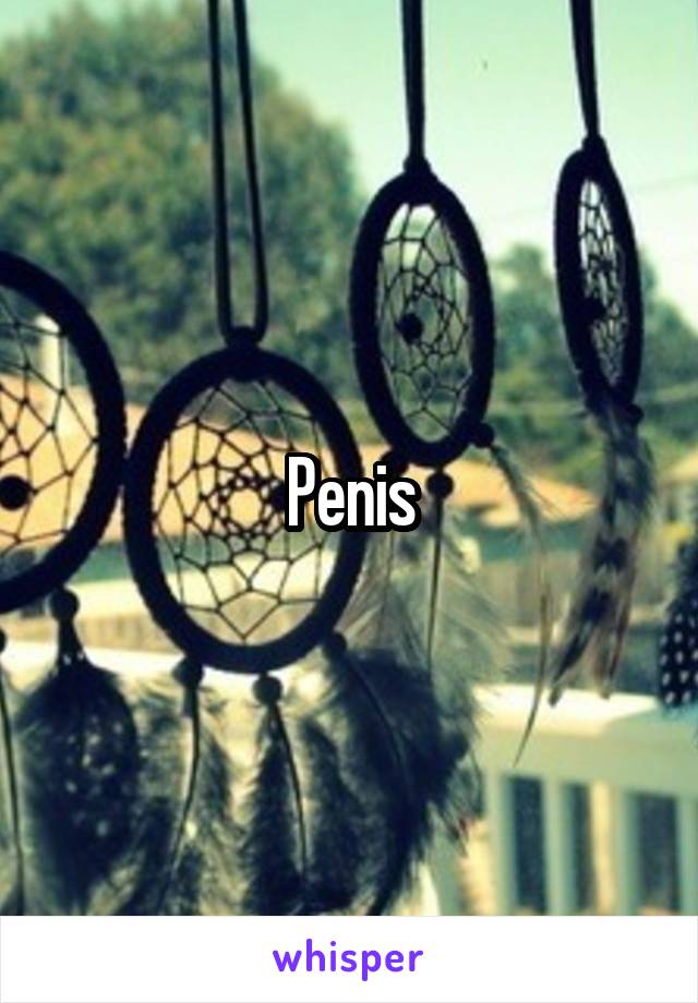 Penis