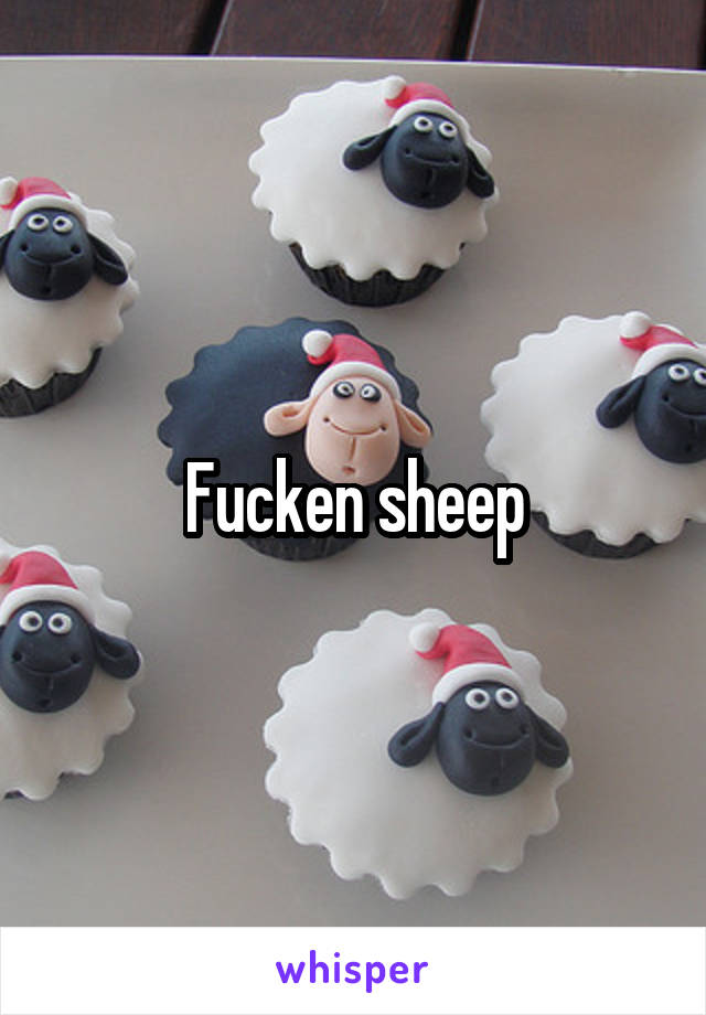 Fucken sheep