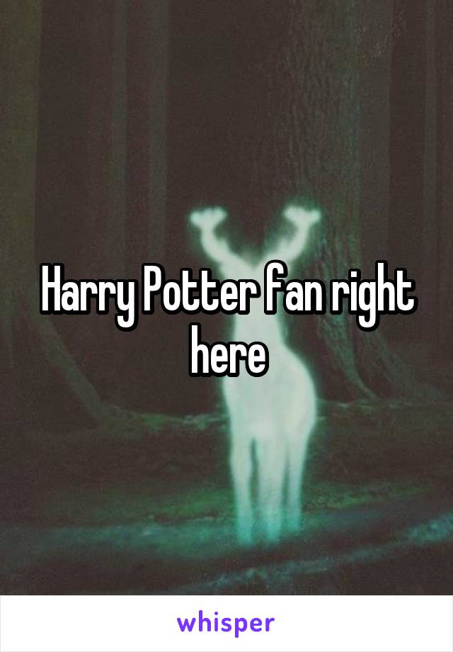 Harry Potter fan right here