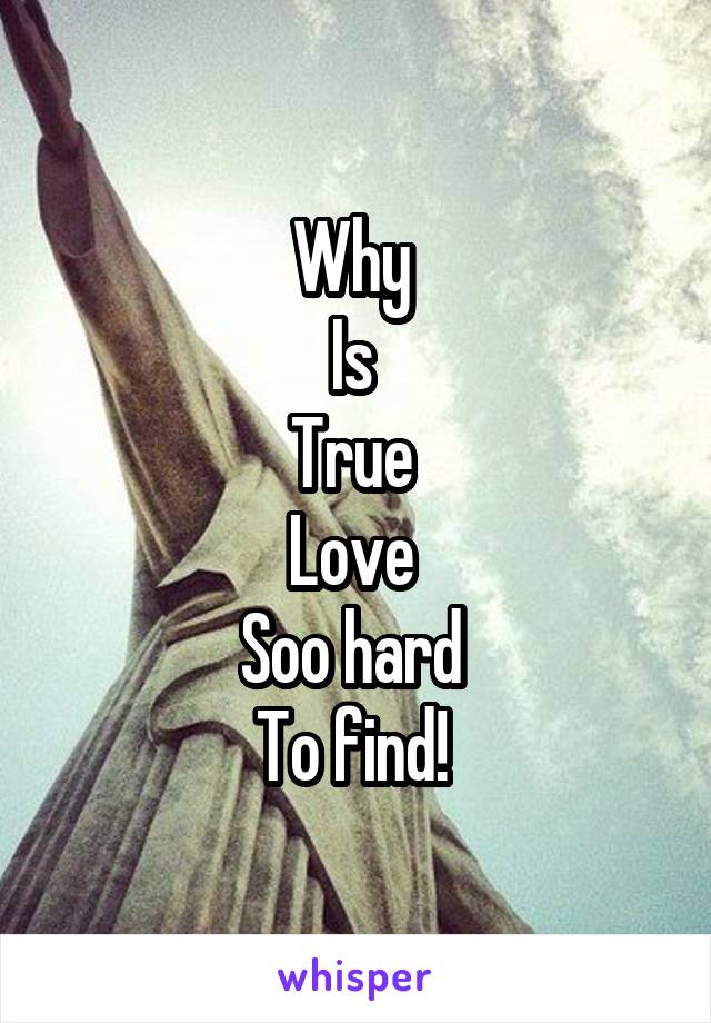 Why 
Is 
True 
Love 
Soo hard 
To find! 