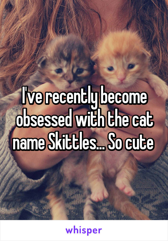 I've recently become obsessed with the cat name Skittles... So cute 