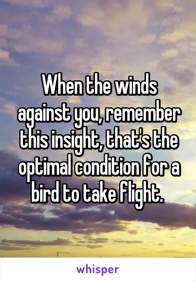 When the winds against you, remember this insight, that's the optimal condition for a bird to take flight. 