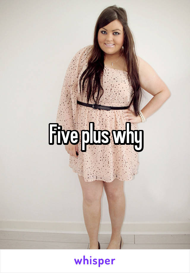 Five plus why