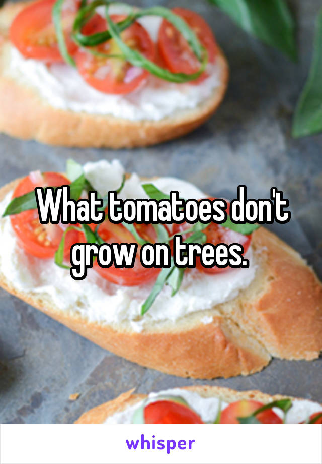 What tomatoes don't grow on trees. 