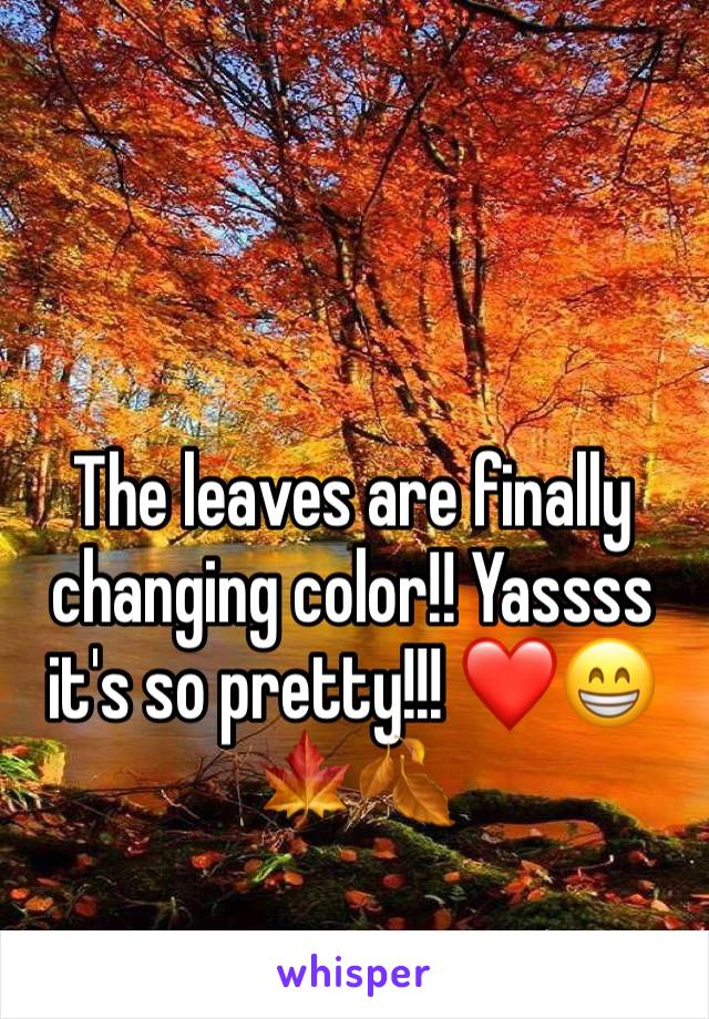 The leaves are finally changing color!! Yassss it's so pretty!!! ❤️😁🍁🍂