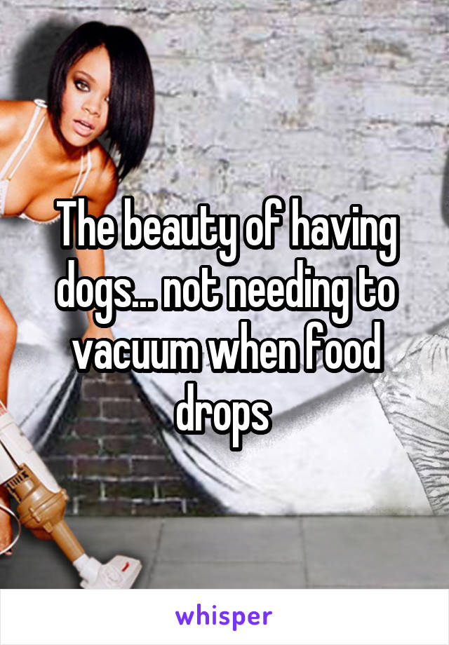 The beauty of having dogs... not needing to vacuum when food drops 
